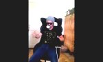 Funny Video : Mit Turbo durchs Wohnzimmer