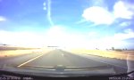 Lustiges Video - Wilder Mustang auf der Autobahn