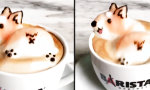 Funny Video - Twerking Cafe Latte