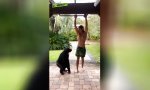Mit Schimpansen um die Wette hangeln