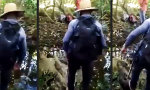 Lustiges Video : Eins mit dem Dschungel