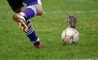 Fun Pic - Donnerstag PicDump #8 - 79