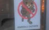 Fun Pic - Donnerstags Fun PicDump #10 - 39