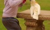 Fun Pic - Donnerstags Fun PicDump #31 - 120