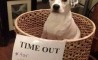 Fun Pic - Donnerstags Fun PicDump #73 - 104