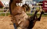 Fun Pic - Donnerstags Fun PicDump #88 - 65