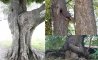 Fun Pic - Donnerstags Fun PicDump #92 - 47