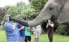 Fun Pic - Donnerstags Fun PicDump #95 - 8