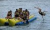 Fun Pic - Donnerstags Fun PicDump #95 - 80