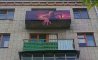 Fun Pic - Donnerstags Fun PicDump #102 - 31