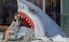 Fun Pic - Donnerstags Fun PicDump #104 - 3