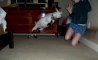 Fun Pic - Donnerstags Fun PicDump #105 - 22