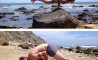 Fun Pic - Donnerstags Fun PicDump #105 - 30