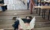 Fun Pic - Donnerstags Fun PicDump #105 - 74