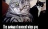 Fun Pic - Donnerstags Fun PicDump #105 - 86