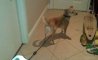 Fun Pic - Donnerstags Fun PicDump #107 - 47