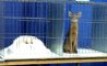 Fun Pic - Donnerstags Fun PicDump #107 - 7