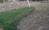 Fun Pic - Donnerstags Fun PicDump #107 - 95