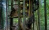 Fun Pic - Donnerstags Fun PicDump #109 - 65