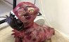 Fun Pic - Donnerstags Fun PicDump #119 - 108