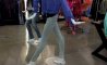 Fun Pic - Donnerstags Fun PicDump #119 - 120