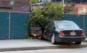 Fun Pic - Donnerstags Fun PicDump #119 - 8