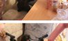 Fun Pic - Donnerstags Fun PicDump #127 - 36