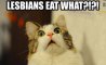 Fun Pic - Donnerstags Fun PicDump #130 - 14