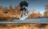 Fun Pic - Donnerstags Fun PicDump #133 - 23