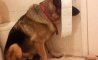 Fun Pic - Donnerstags Fun PicDump #135 - 8