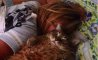 Fun Pic - Donnerstags Fun PicDump #135 - 80