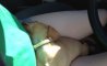 Fun Pic - Donnerstags Fun PicDump #140 - 107