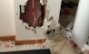 Fun Pic - Donnerstags Fun PicDump #140 - 11