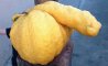 Fun Pic - Donnerstags Fun PicDump #140 - 111