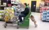 Fun Pic - Donnerstags Fun PicDump #140 - 35