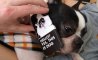 Fun Pic - Donnerstags Fun PicDump #140 - 39