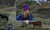 Fun Pic - Donnerstags Fun PicDump #140 - 7
