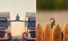 Fun Pic - Donnerstags Fun PicDump #143 - 112