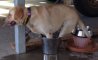 Fun Pic - Donnerstags Fun PicDump #144 - 43