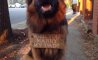 Fun Pic - Donnerstags Fun PicDump #145 - 49