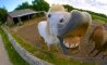 Fun Pic - Donnerstags Fun PicDump #145 - 57