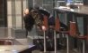 Fun Pic - Donnerstags Fun PicDump #145 - 61