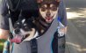 Fun Pic - Donnerstags Fun PicDump #145 - 69