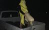 Fun Pic - Donnerstags Fun PicDump #147 - 102