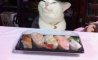 Fun Pic - Donnerstags Fun PicDump #147 - 126
