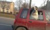 Fun Pic - Donnerstags Fun PicDump #147 - 134