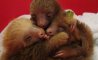 Fun Pic - Donnerstags Fun PicDump #147 - 138