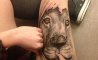 Fun Pic - Donnerstags Fun PicDump #147 - 26