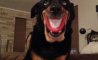 Fun Pic - Donnerstags Fun PicDump #147 - 42