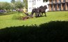 Fun Pic - Donnerstags Fun PicDump #152 - 104